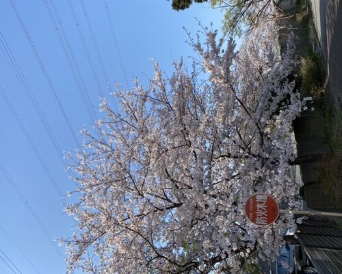 C2EE4745-BC70-4C4A-AAAA-99578EBEE5DF