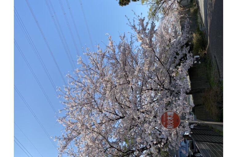 C2EE4745-BC70-4C4A-AAAA-99578EBEE5DF